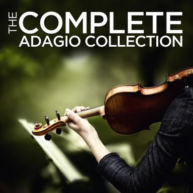 Le quattro stagioni (The Four Seasons), Op. 8 - Concerto No. 2 in G Minor, RV 315, "L'estate" (Summer): II. Adagio - Presto - Adagio