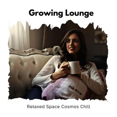 A Whimsical Kind (Relaxing Space Cosmos) - Original Mix
