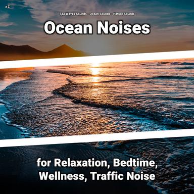Sea Noises to Slow Your Thoughts