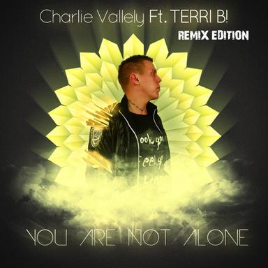 You Are Not Alone - Extended Mix