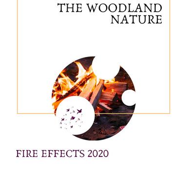 Drops Of Rain On Fort