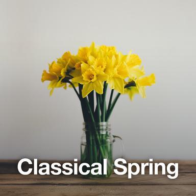 Orchestral Suite No. 3 in D, BWV 1068: 2. Air