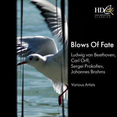 Symphony No.3 In E Flat Major, Eroica, Op. 55 : II. Marcia Funebre - Adagio Assai