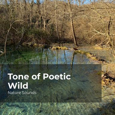 Overflowing Waterfalls