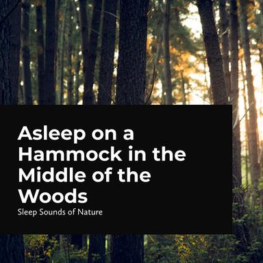 Stabilized Stream Flow