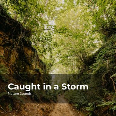 Pitch a Tent in the Shore