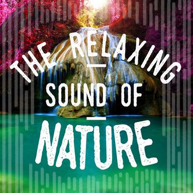 Life in the Wilderness