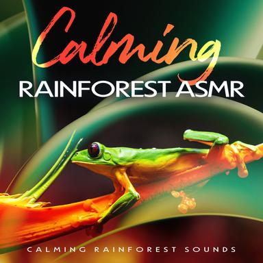 Searching Dimensions