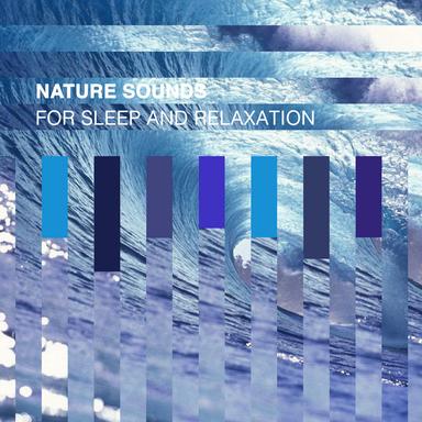 Sweet Sounding Birds