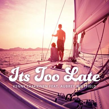 Its Too Late - Tom Wilcox RMX