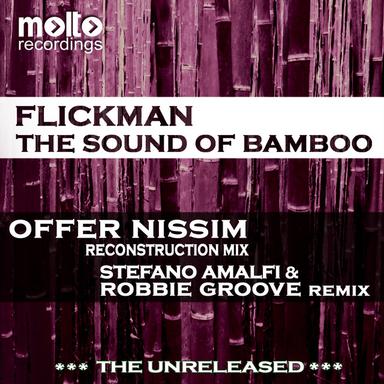 The Sound of Bamboo - Stefano Amalfi & Robbie Groove Remix