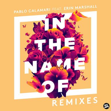 In The Name Of (feat. Erin Marshall) - Linier Remix