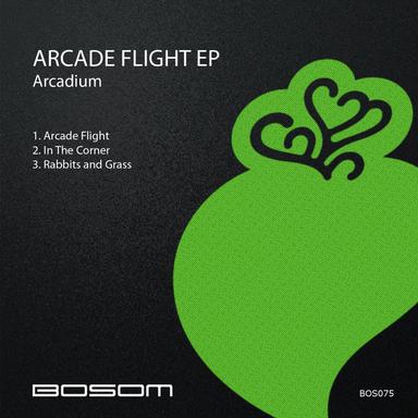 Arcade Flight - Original Mix