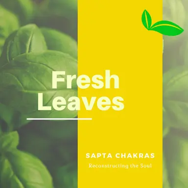 Unhindered Light - Original Mix