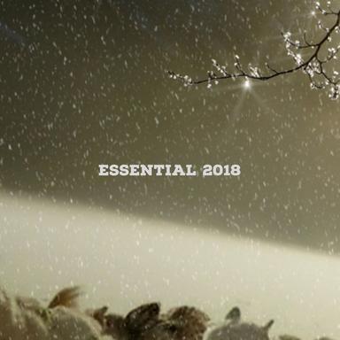 En O - Tribalizer Mix