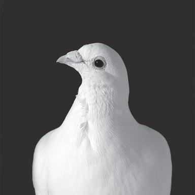 Sunbelt Regret - Mollono.Bass Remix