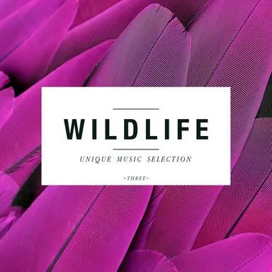 Wildlife - Unique Music Selection, Vol. 3
