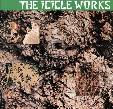 Factory in the Desert