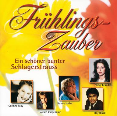 Ich brauch' keinen Himmel