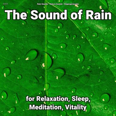 Rain Sounds for You