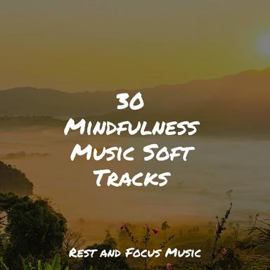 Twilight from the Window