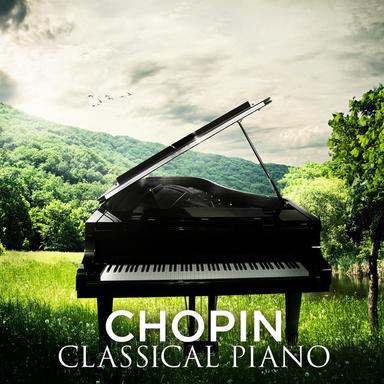 Fantaisie Impromptu in C-Sharp Major, Op. 66: Allegro agitato