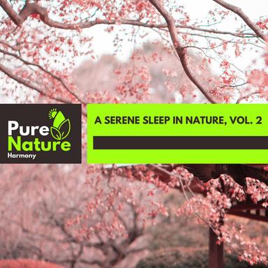 Blue Black Thunderstorm