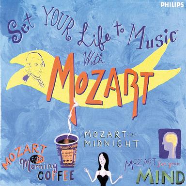 Sonata for Piano and Violin in F, K.377: 2c. Variation 2