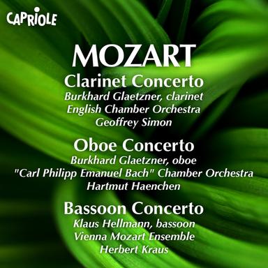 Bassoon Concerto in B-Flat Major, K. 191: I. Allegro