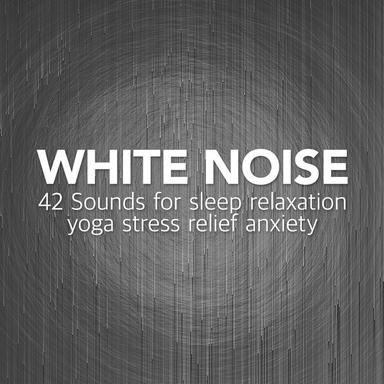 Hollow Echo White Noise