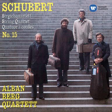 Schubert: String Quartet No. 15 in G Major, Op. Posth. 161, D. 887: I. Allegro molto moderato