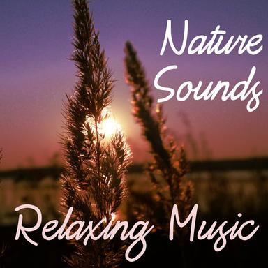 Nature Sounds
