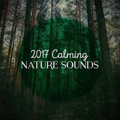 Gentle Stream with Birds