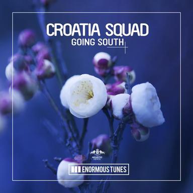 Going South - Radio Mix