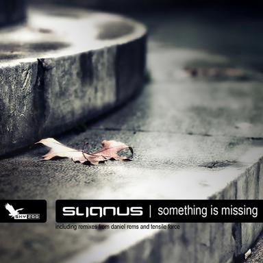 Something Is Missing - Daniel Rems Remix