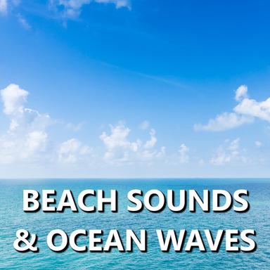 Cheerful Island Beach Waves