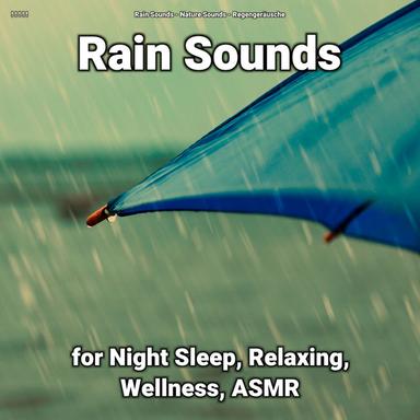 New Age Sounds for Meditation