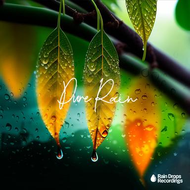 Drops on the Glass Roof