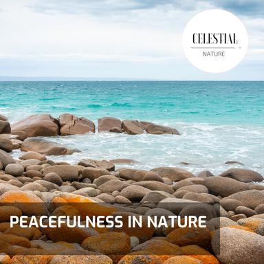 Hypnostised by Fire Embers