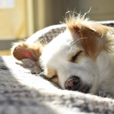 Enlightened Feelings