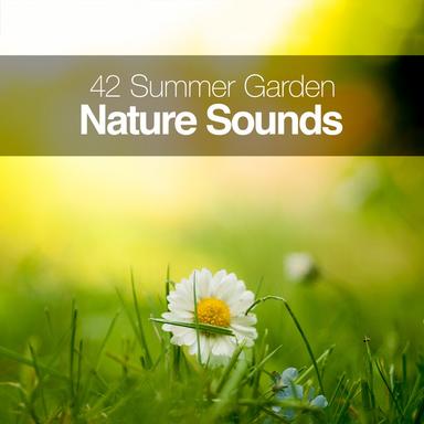 42 Summer Garden Nature Sounds