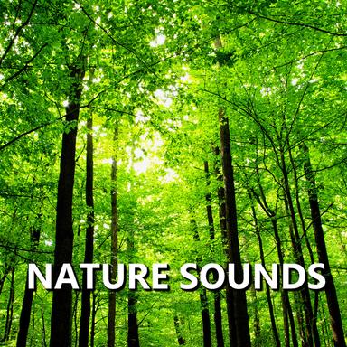 Cultivated Bird Nature Recording