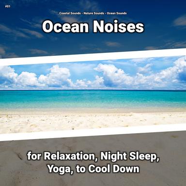 Ocean Sounds for Meditation