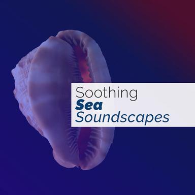 40 Soothing Sea Soundcapes