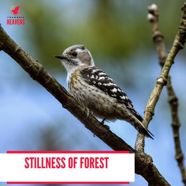 Flowing Winds and Rustling Leaves