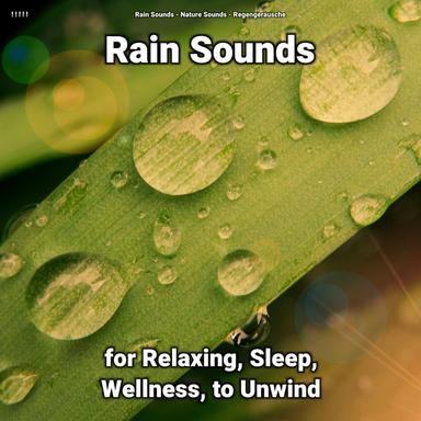 Soothing Sounds to Help Fall Asleep