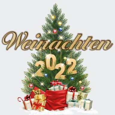 I Wish (Christmas Version)