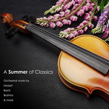 Christ lag in Todes Banden, Cantata BWV 4: I. Sinfonia