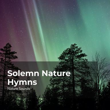 Waves Hitting the Shore