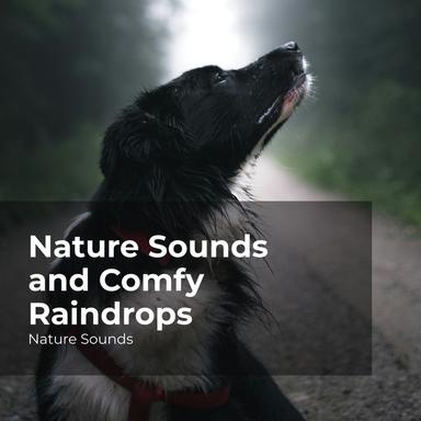 Continuous River Flow